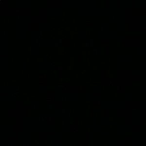 Meet your Posher, Jeannette